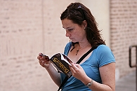Img 211